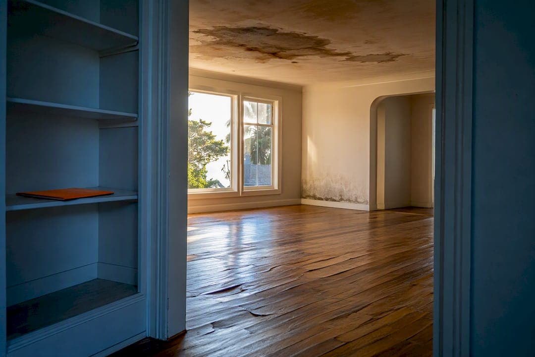 Use Disclosure and a Cash Offer to Sell a Water Damaged House Fast